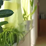Cozyplace * ザダル