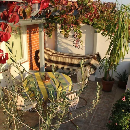 Cozyplace Apartamento