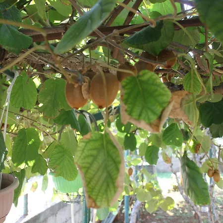 Cozyplace Apartamento