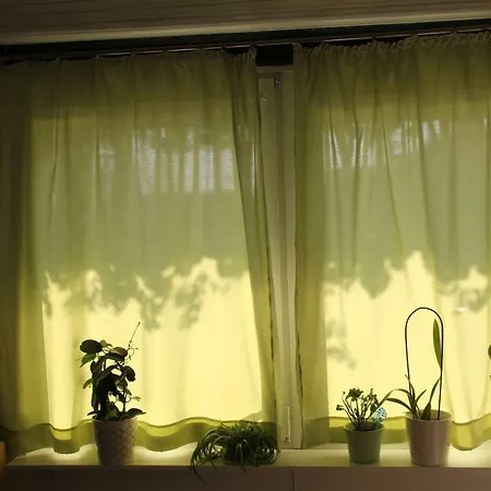Cozyplace *