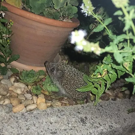 Apartamento Cozyplace