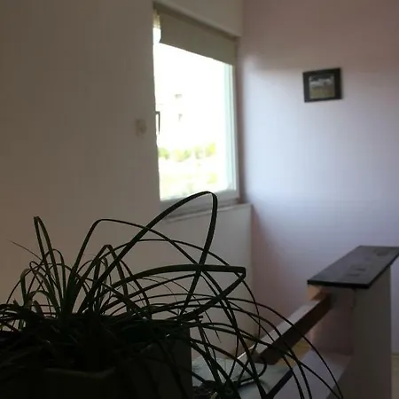 Apartment Cozyplace Zadar