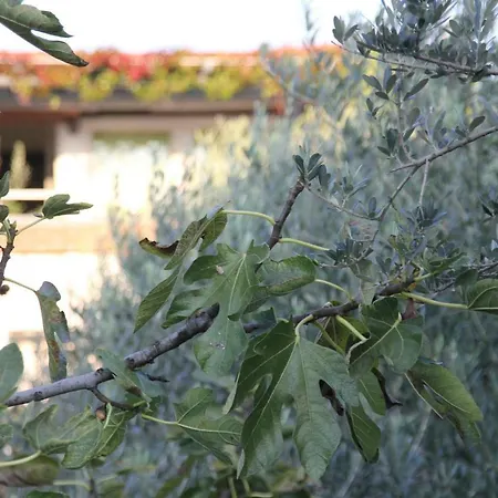 Cozyplace Apartamento