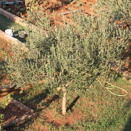 Apartamento Cozyplace Zadar