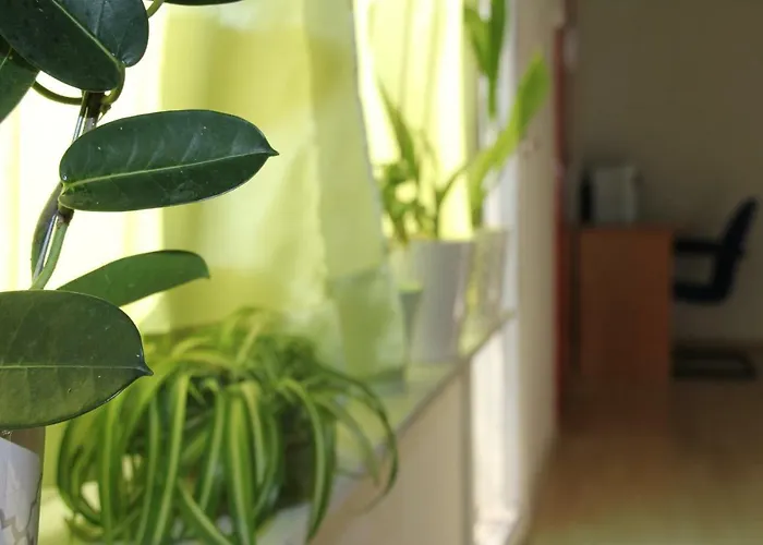 Cozyplace * זאדאר