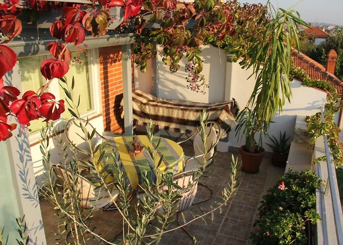 Cozyplace Apartamento