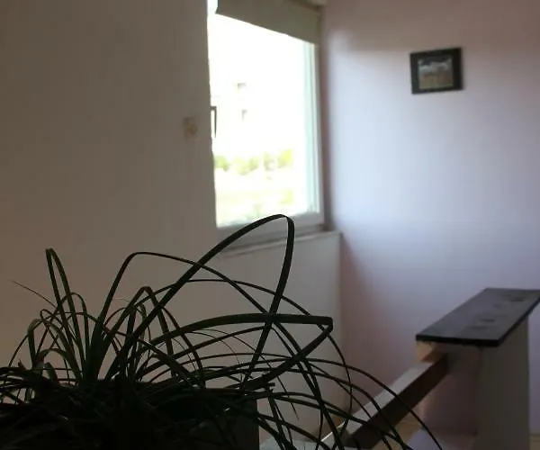 דירה Cozyplace זאדאר