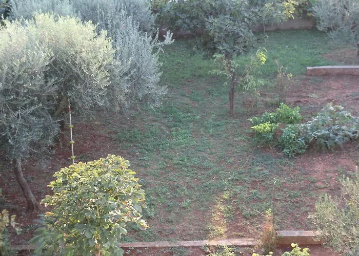 Cozyplace זאדאר