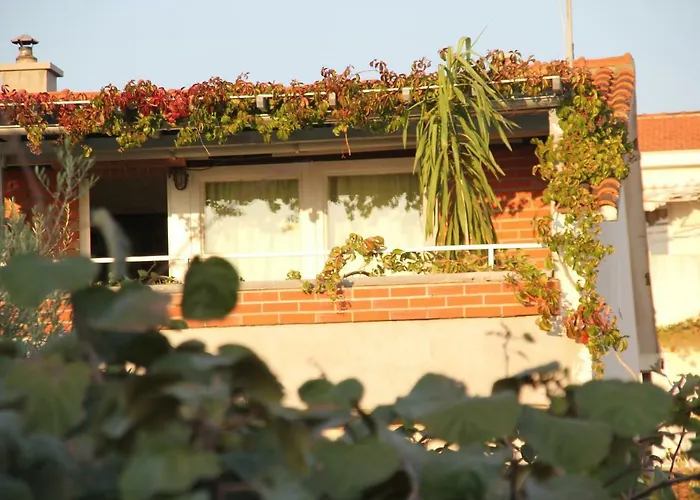 דירה Cozyplace זאדאר