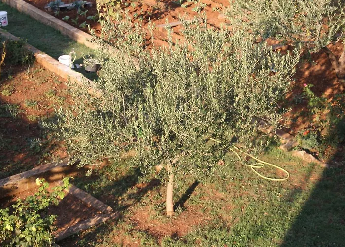 דירה Cozyplace זאדאר